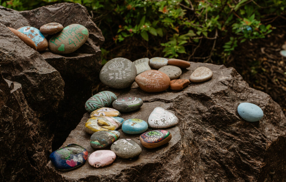 Colorful painted and decorated rocks, some with words and patterns, are arranged on large dark stones outdoors, surrounded by green leafy plants.
