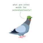 A cartoon pigeon wearing a green cap asks, what are other words for serendipitously? in green text above its head.